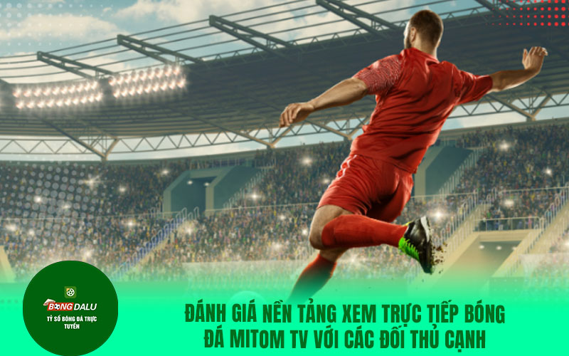 mitom19 Đánh giá nền tảng xem trực tiếp bóng đá Mitom TV với các đối thủ cạnh tranh
