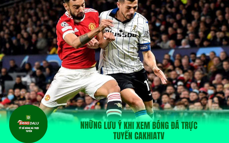 rakhoi11 Những lưu ý khi xem bóng đá trực tuyến CakhiaTV