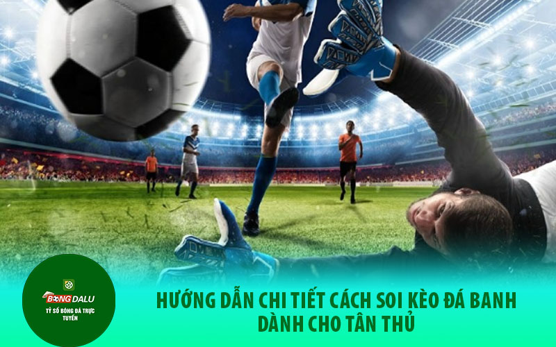 soi keo bong da 1 Hướng dẫn chi tiết cách soi kèo đá banh dành cho tân thủ