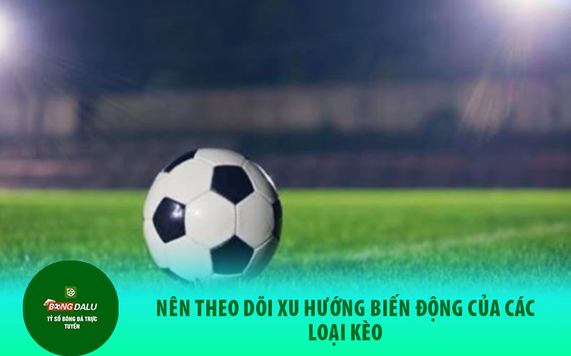 soi keo1 Tốt nhất người chơi nên chọn nhà cái uy tín