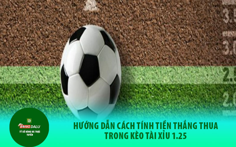 tai Hướng dẫn cách tính tiền thắng thua trong kèo tài xỉu 1.25