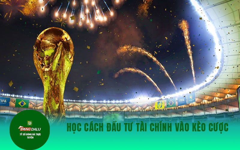 the thao 2 Học cách đầu tư tài chính vào kèo cược
