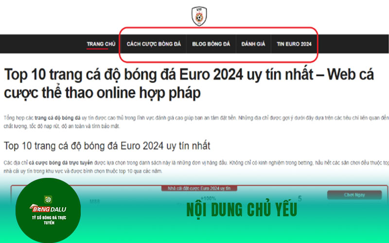 trang ca do bong da 1 Nội dung chủ yếu