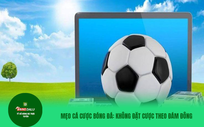 ty le keo 2 Đặt cược theo đám đông không phải là mẹo hay để chiến thắng trong cá cược bóng đá online
