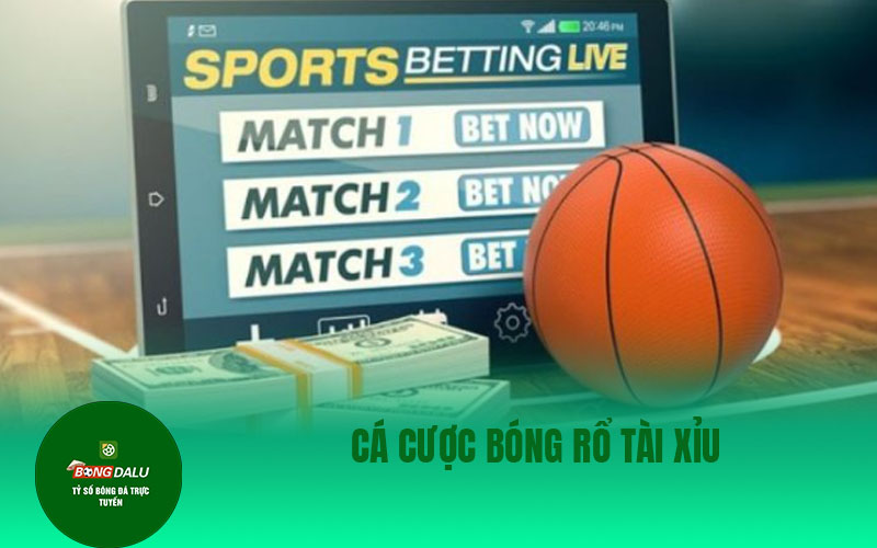 CA CUOC BONG DA 02 Cá cược bóng rổ tài xỉu