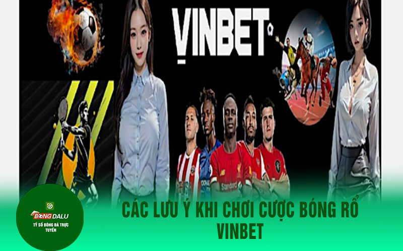 bong ro 3 Các lưu ý khi chơi cược bóng rổ Vinbet