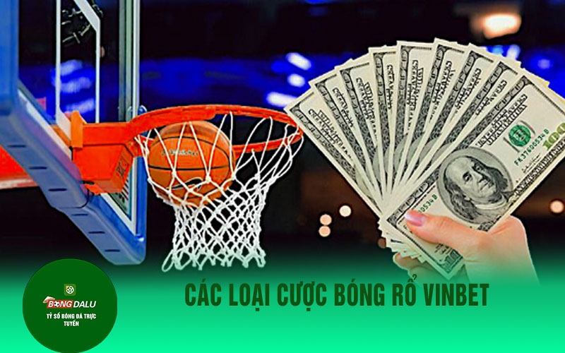 bong ro Các loại cược bóng rổ Vinbet