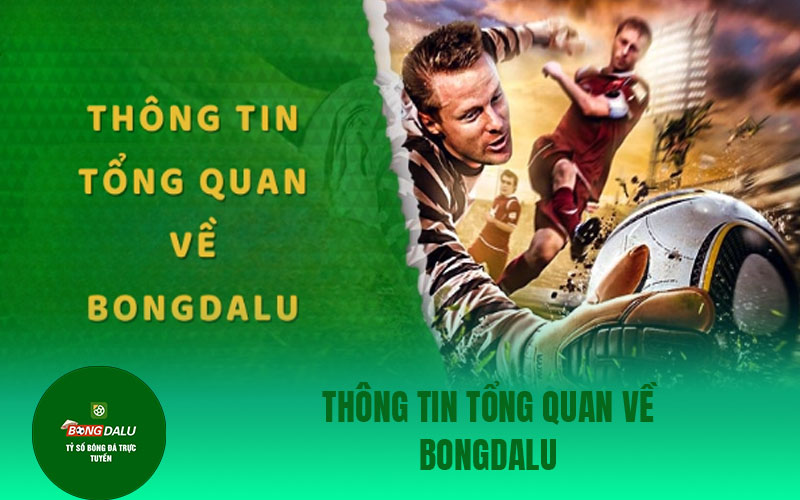 bongdalu Thông tin tổng quan về Bongdalu