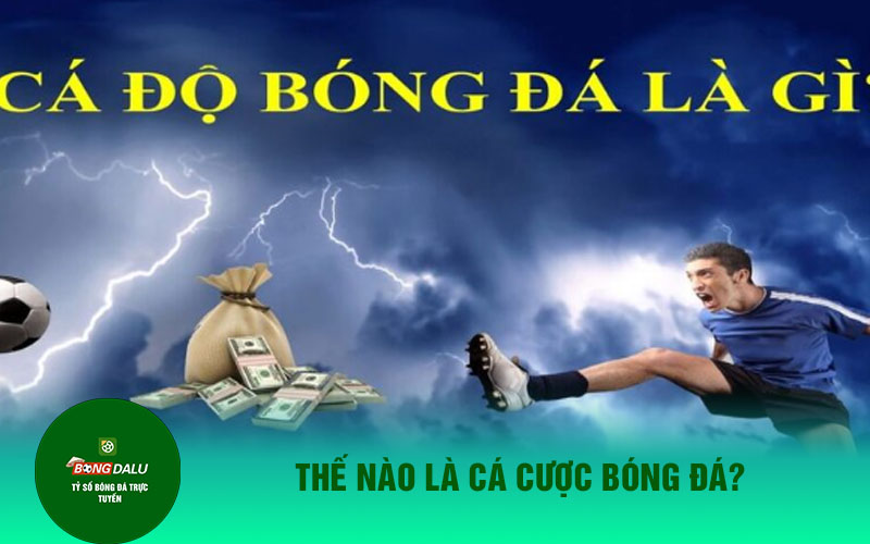 ca cuoc bong da Thế nào là cá cược bóng đá?