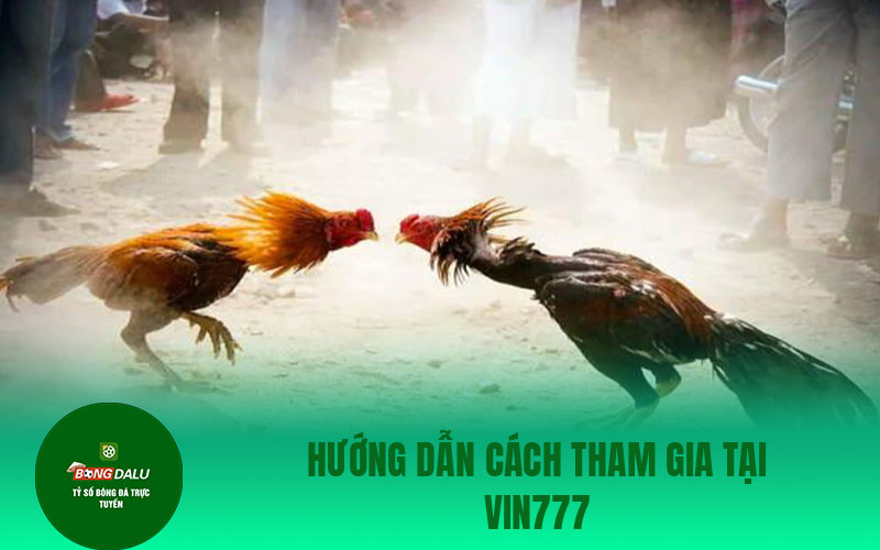 da ga 2 Hướng dẫn cách tham gia tại Vin777