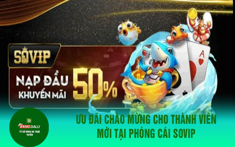 dang ky socvip 2 Ưu đãi chào mừng cho thành viên mới tại phòng cái sovip