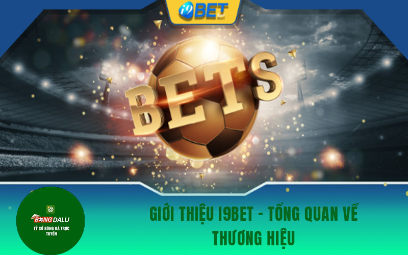 i9bet Giới thiệu i9bet - tổng quan về thương hiệu