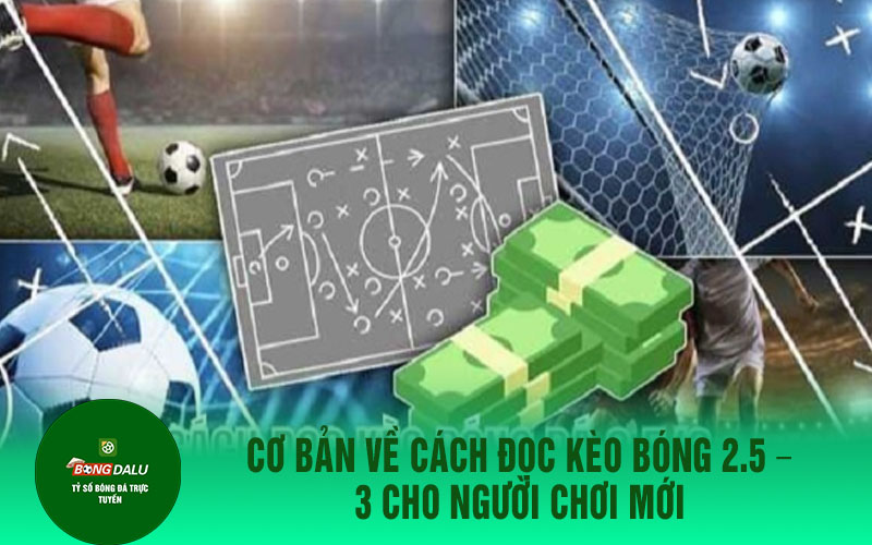 keo bong da 1 Cơ bản về cách đọc kèo bóng 2.5 – 3 cho người chơi mới
