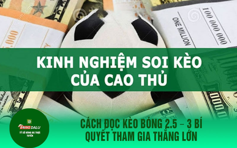 keo bong da 2 Cách đọc kèo bóng 2.5 – 3 bí quyết tham gia thắng lớn