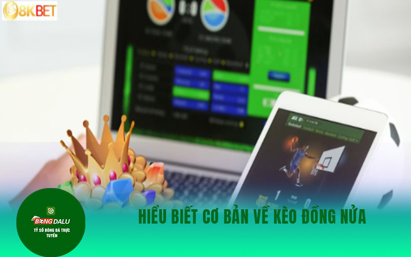 keo dong nua Hiểu biết cơ bản về Kèo Đồng Nửa