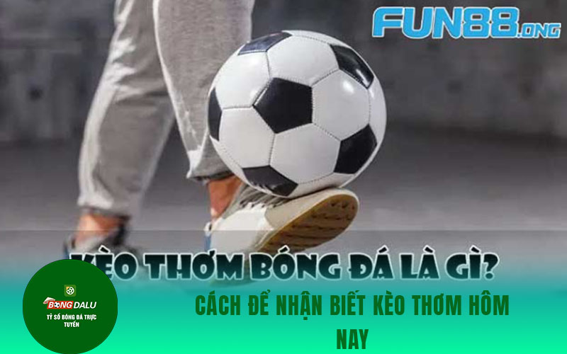 keo thom 1 Cách để nhận biết kèo thơm hôm nay