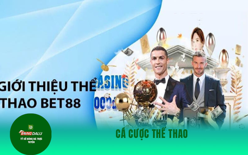 nha cai bet88 2 Cá cược thể thao
