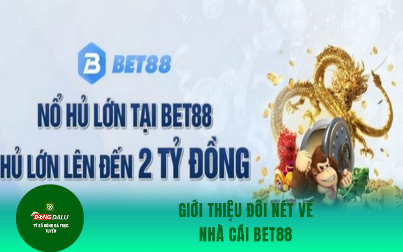 nha cai bet88 Giới thiệu đôi nét về nhà cái Bet88