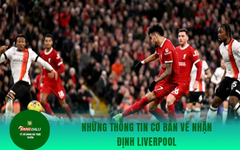 nhan dinh liverpool Những thông tin cơ bản về nhận định Liverpool