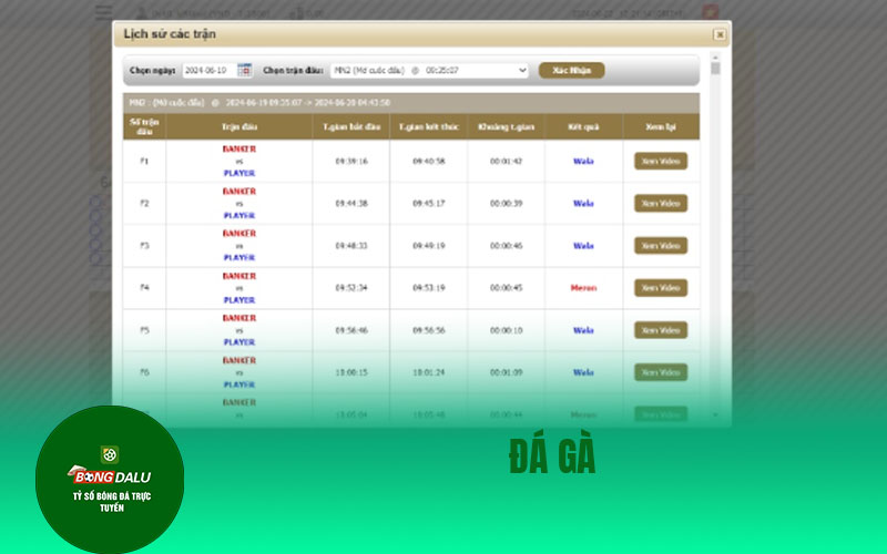 ok9 3 Đá Gà