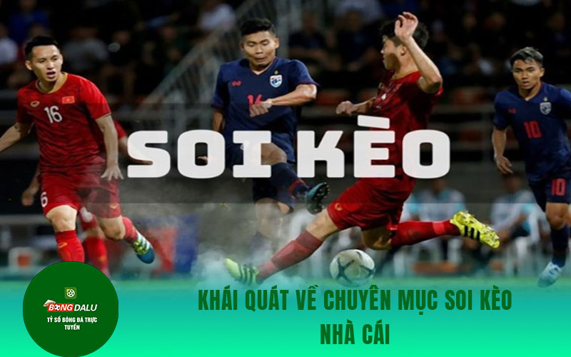 soi keo nha cai Cập nhật thông tin thú vị về dịch vụ soi kèo nhà cái