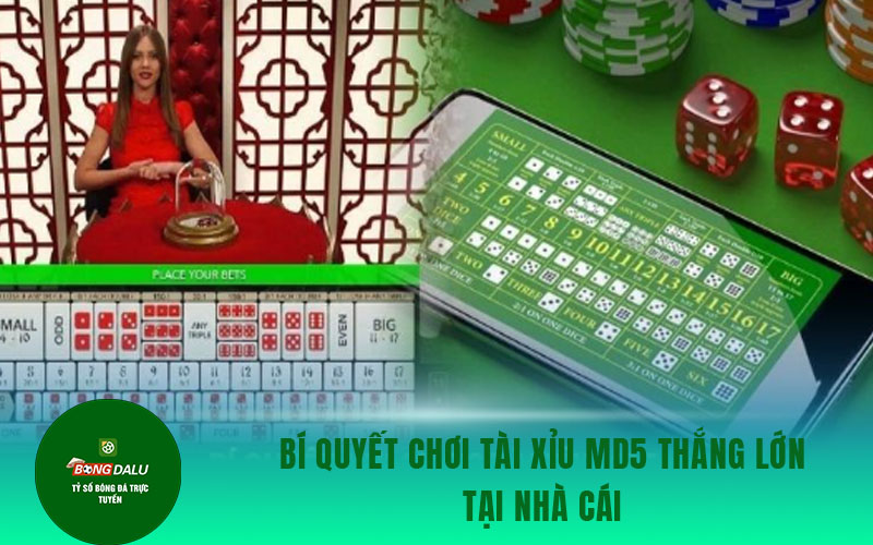 tai xiu 2 Bí quyết chơi tài xỉu MD5 thắng lớn tại nhà cái