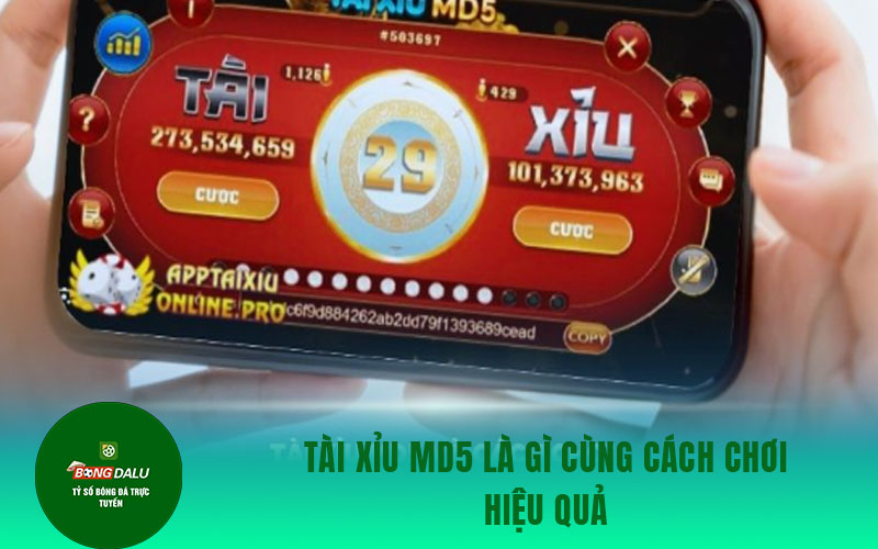 tai Tài xỉu MD5 là gì cùng cách chơi hiệu quả