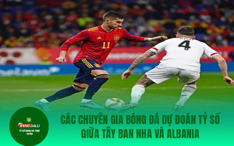 tay ban0nha 2 Các chuyên gia bóng đá dự đoán tỷ số giữa Tây Ban Nha và Albania