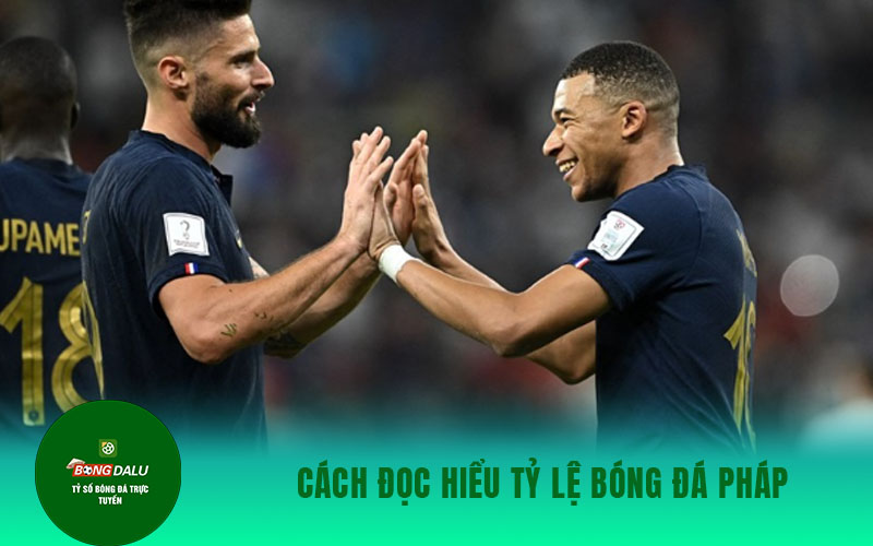 ty le bong da phap 1 Cách đọc hiểu tỷ lệ bóng đá Pháp