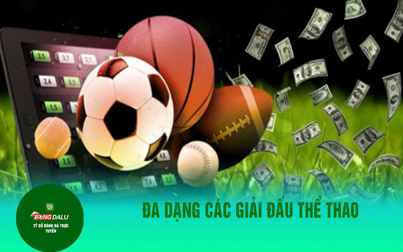 ty le keo 1 Đa dạng các giải đấu thể thao