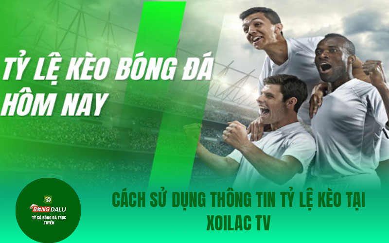 xoilac tv 5 Cách sử dụng thông tin tỷ lệ kèo tại Xoilac TV