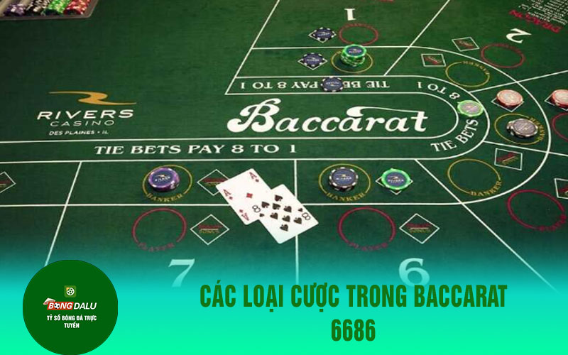 6686 1 Các loại cược trong Baccarat 6686