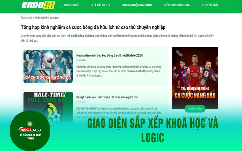 Cadobongda.blog 1 Giao diện sắp xếp khoa học và logic