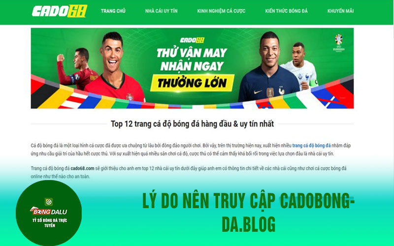 Cadobongda.blog Lý do nên truy cập Cadobongda.blog