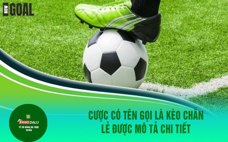 TEN GOI Cược có tên gọi là kèo chẵn lẻ được mô tả chi tiết