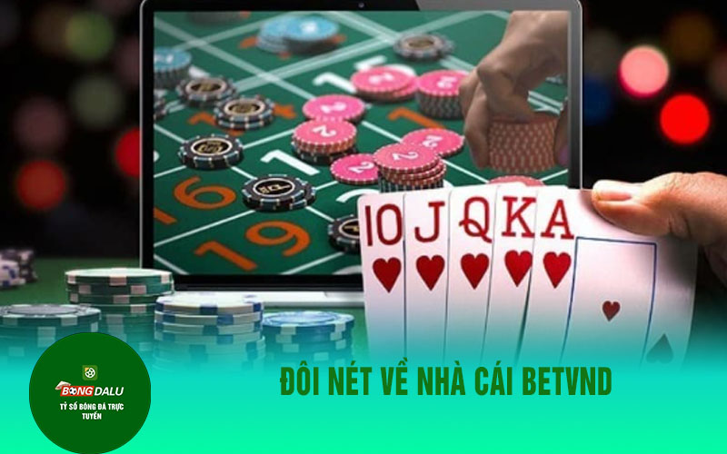 betvnd Đôi nét về nhà cái Betvnd