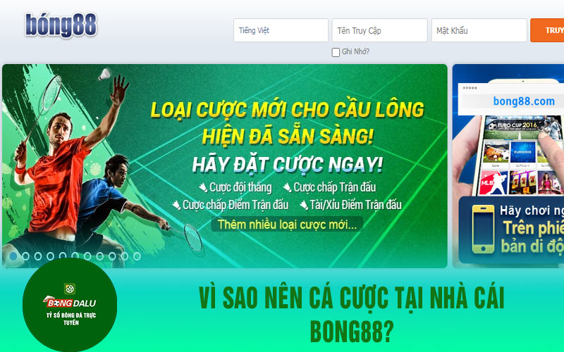 bong88 1 Vì sao nên cá cược tại nhà cái Bong88?