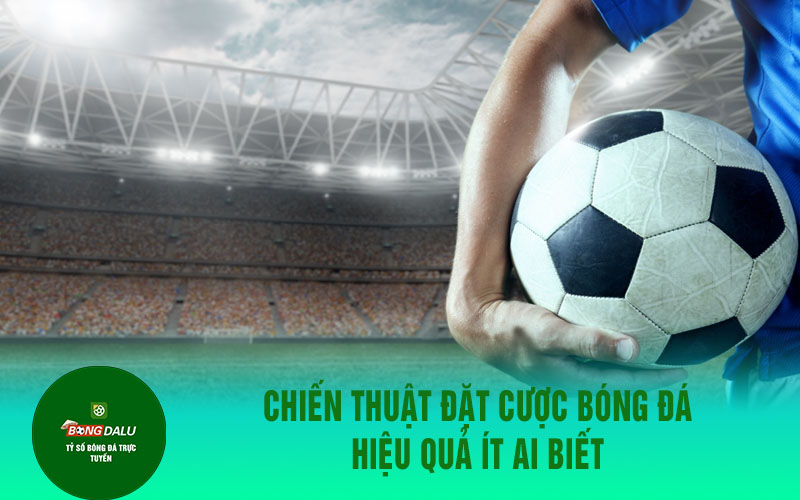 ca cuoc bong da 1 Chiến thuật đặt cược bóng đá hiệu quả ít ai biết