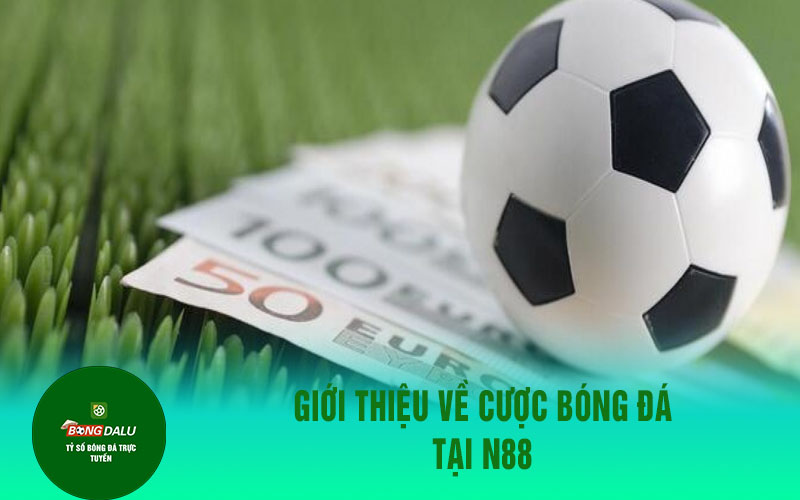 ca cuoc bong da Giới thiệu về cược bóng đá tại N88