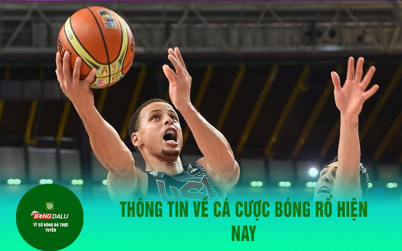 ca cuoc bong ro Thông tin về cá cược bóng rổ hiện nay
