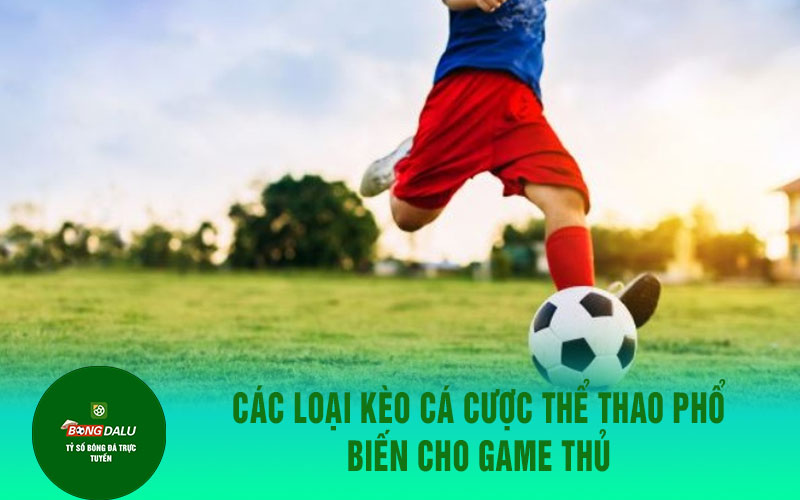 hello88 2 Các Loại Kèo Cá Cược Thể Thao Phổ Biến Cho Game Thủ