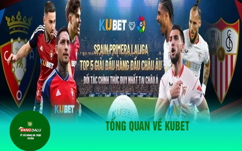 kubet Tổng quan về Kubet