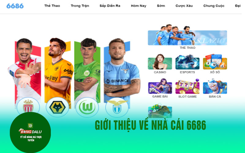 nha cai 6686 3 Giới thiệu về nhà cái 6686