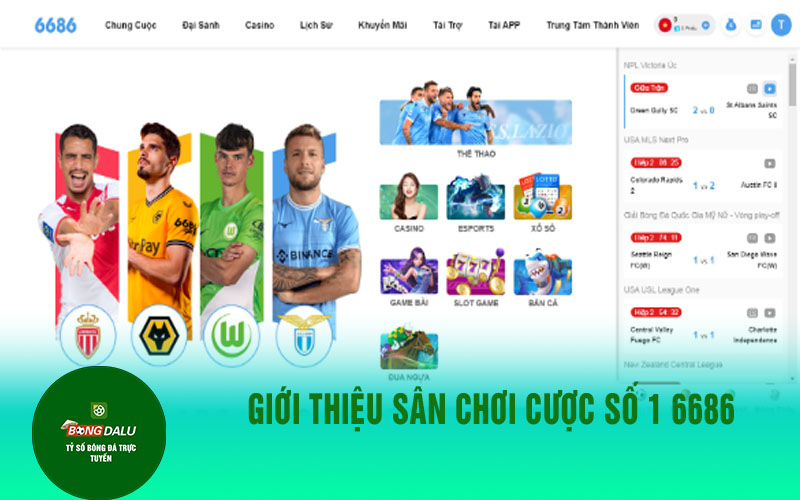 nha cai 6686 Giới thiệu sân chơi cược số 1 6686