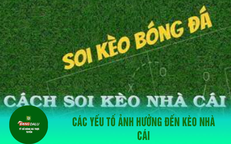 nhan dinh 1 Các Yếu Tố Ảnh Hưởng Đến Kèo Nhà Cái