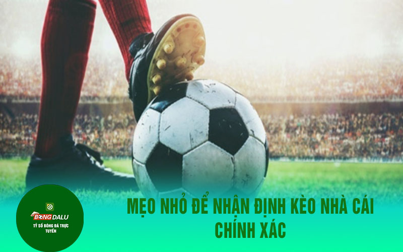 nhan dinh 2 Mẹo Nhỏ Để Nhận Định Kèo Nhà Cái Chính Xác