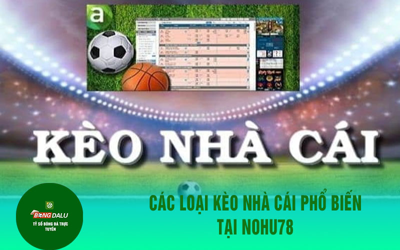 nohu78 1 1 Các loại kèo nhà cái phổ biến tại Nohu78