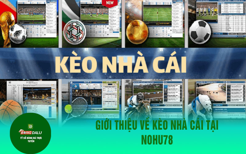 nohu78 3 Giới thiệu về kèo nhà cái tại Nohu78