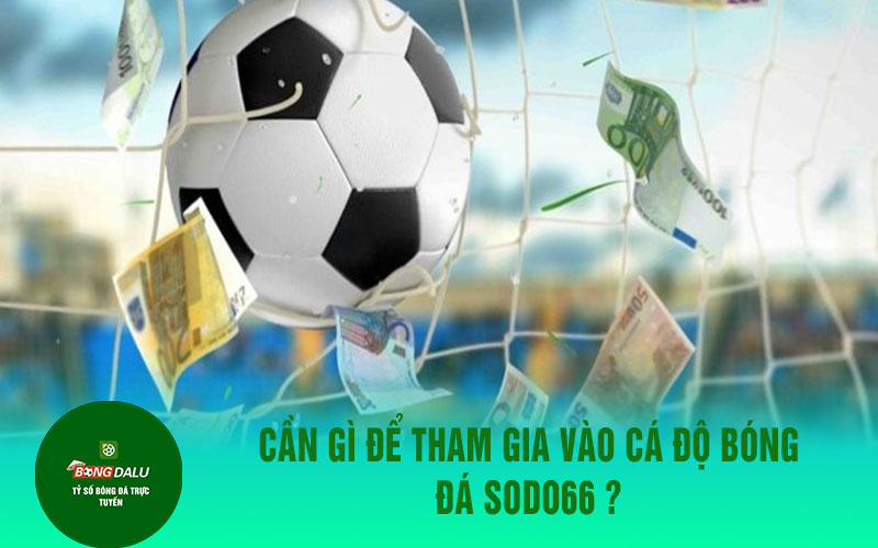 sodo66 2 Cần gì để tham gia vào cá độ bóng đá SODO66 ?