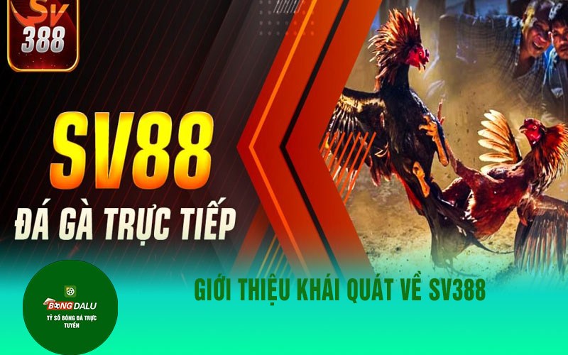 sv3888 Giới thiệu khái quát về SV388
